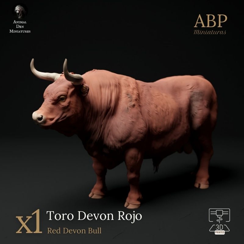 Toro Devon Rojo Erguido