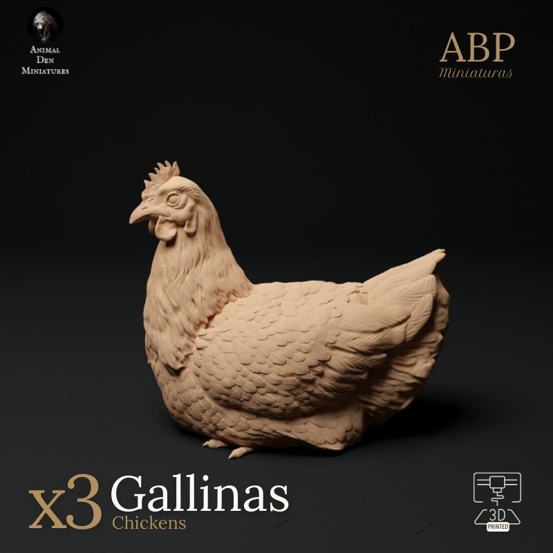 Set de 3 gallinas