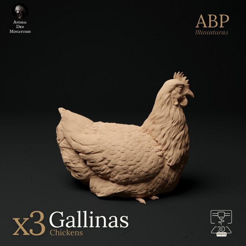 Set de 3 gallinas