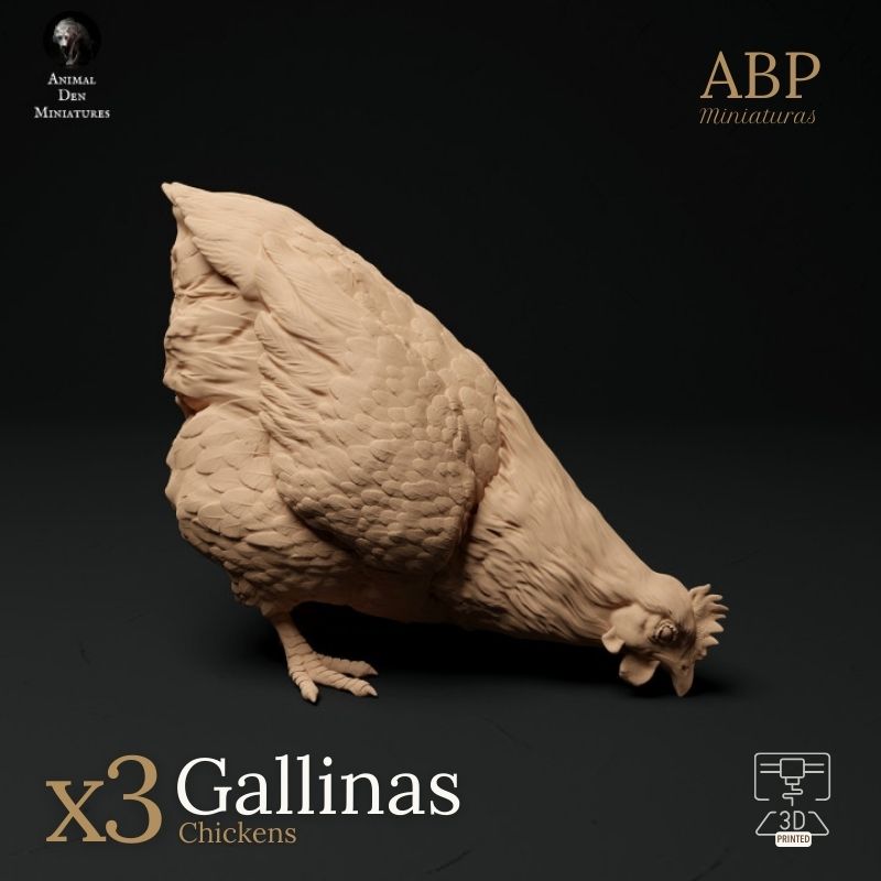 Set de 3 gallinas