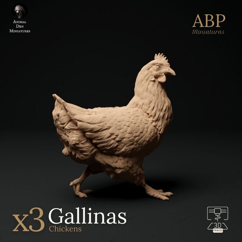 Set de 3 gallinas