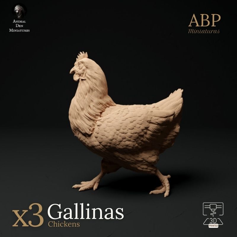 Set de 3 gallinas