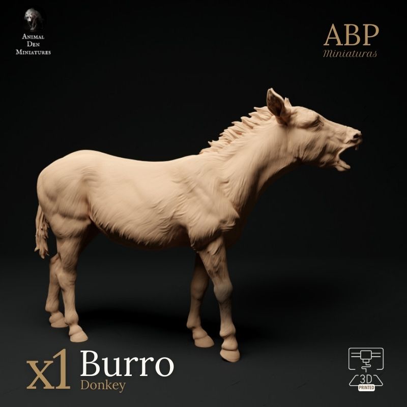 Burro Rebuznando