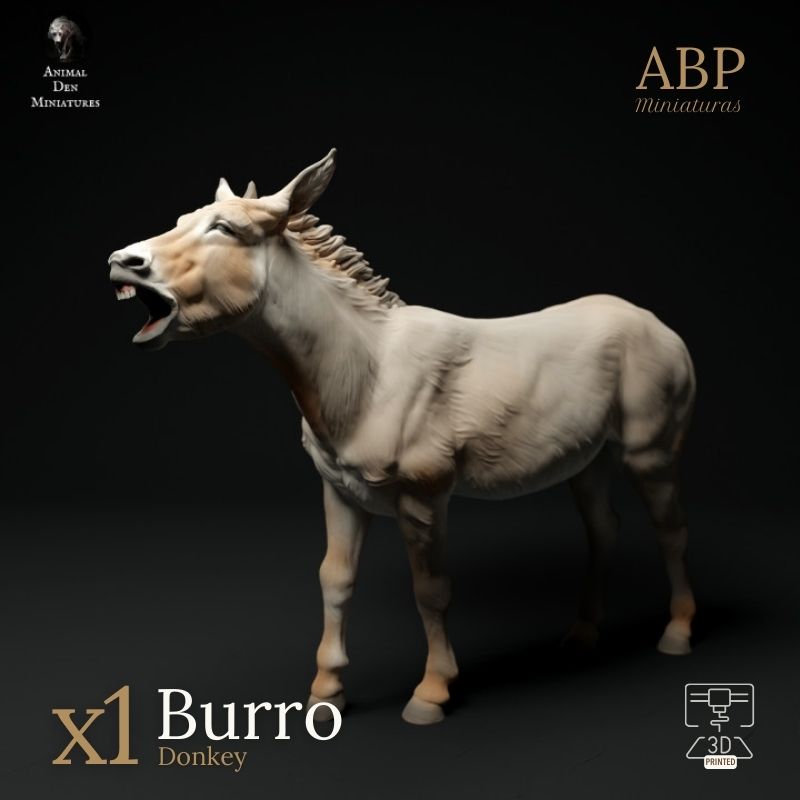 Burro Rebuznando