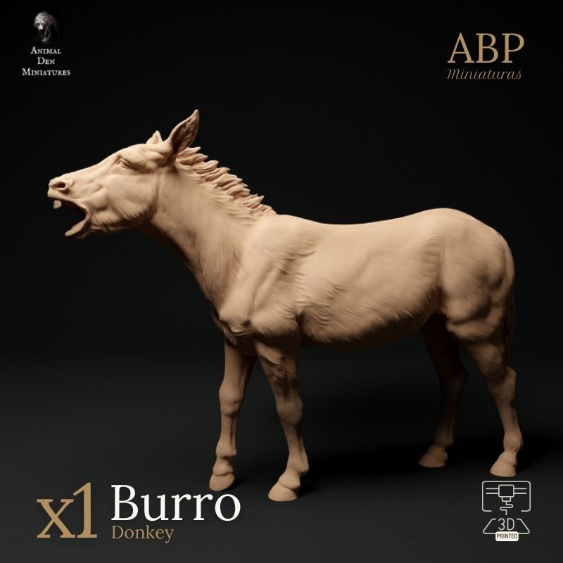 Burro Rebuznando