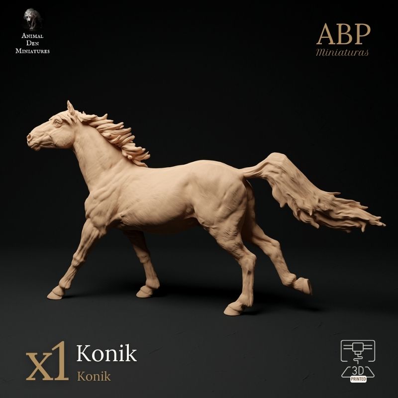 Caballo Konik Galopando
