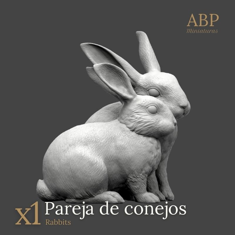 Pareja de Conejos