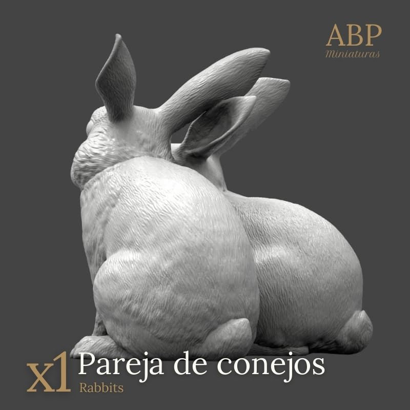 Pareja de Conejos