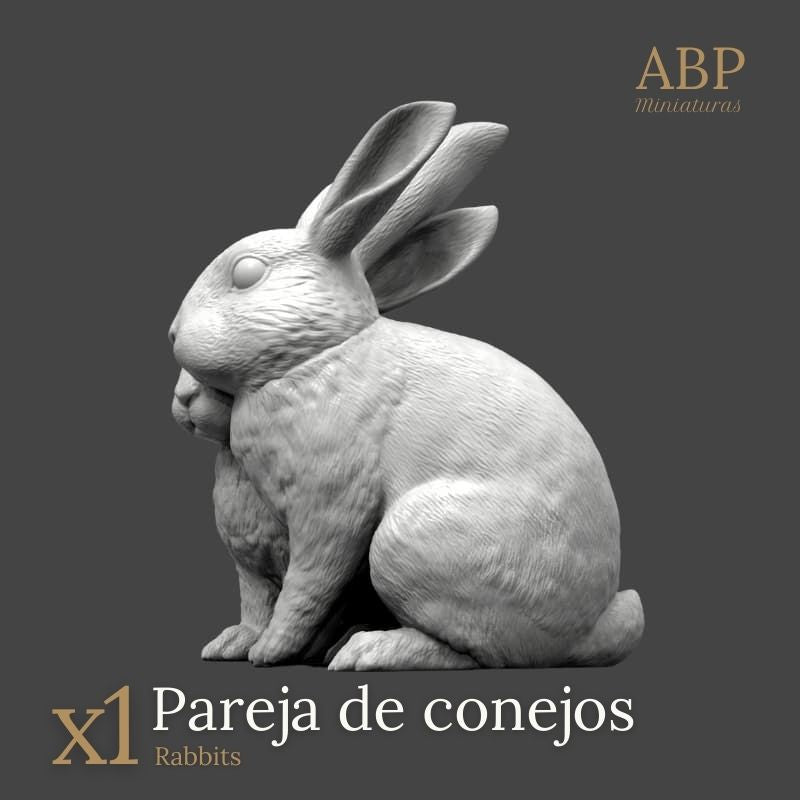 Pareja de Conejos