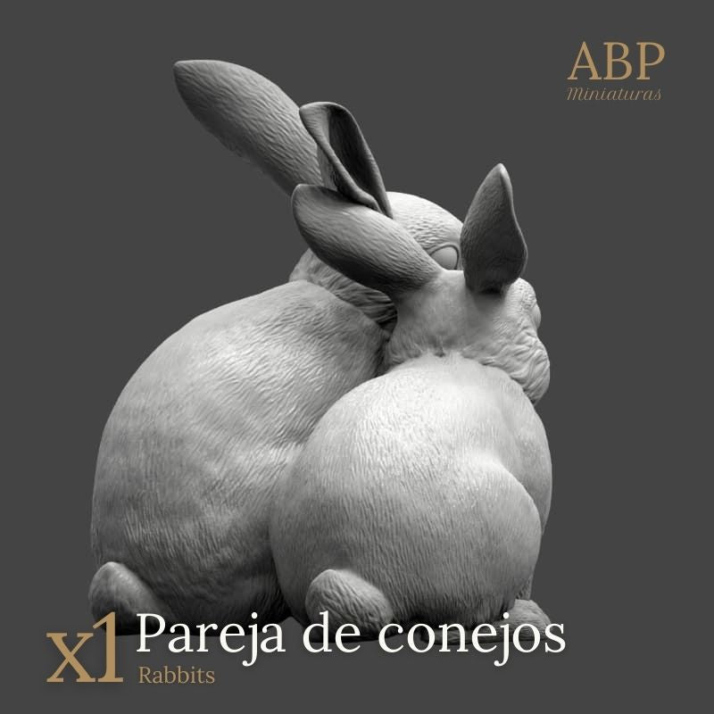 Pareja de Conejos