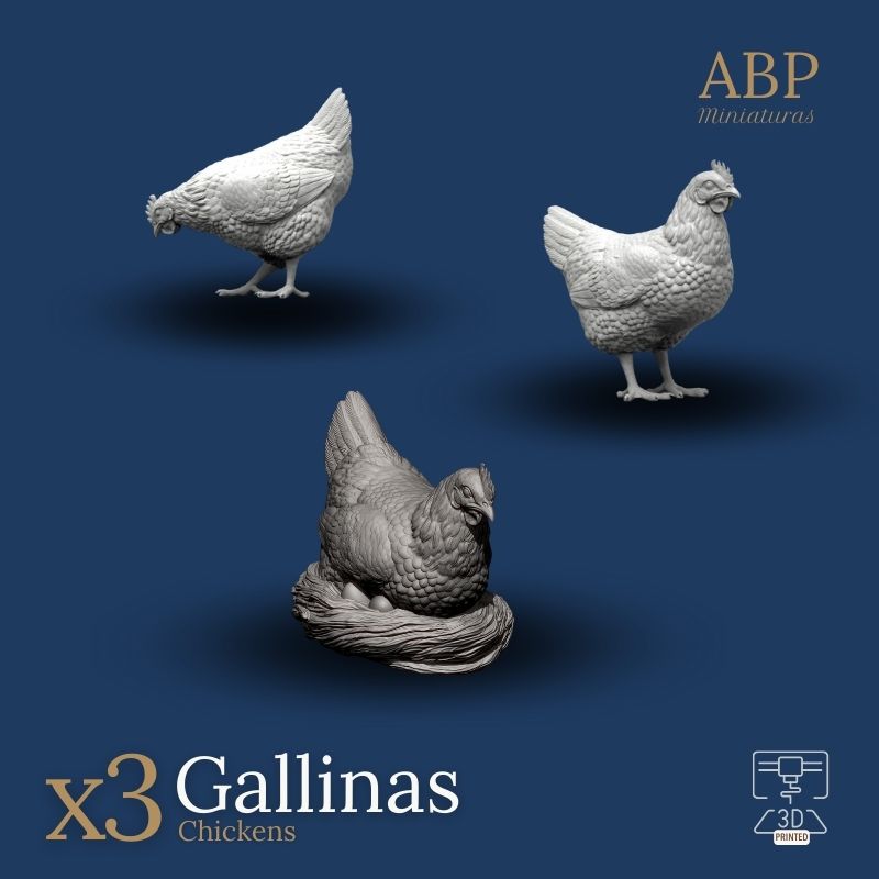 Set 3 gallinas