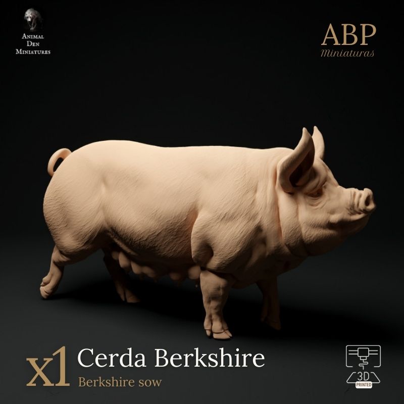 Cerda Berkshire