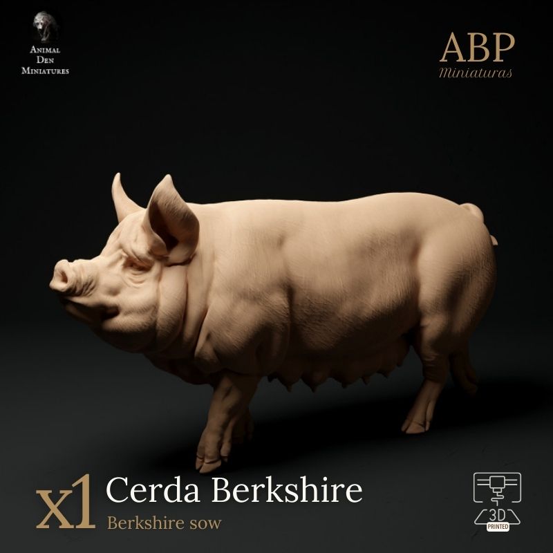 Cerda Berkshire