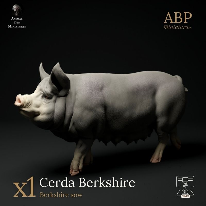 Cerda Berkshire