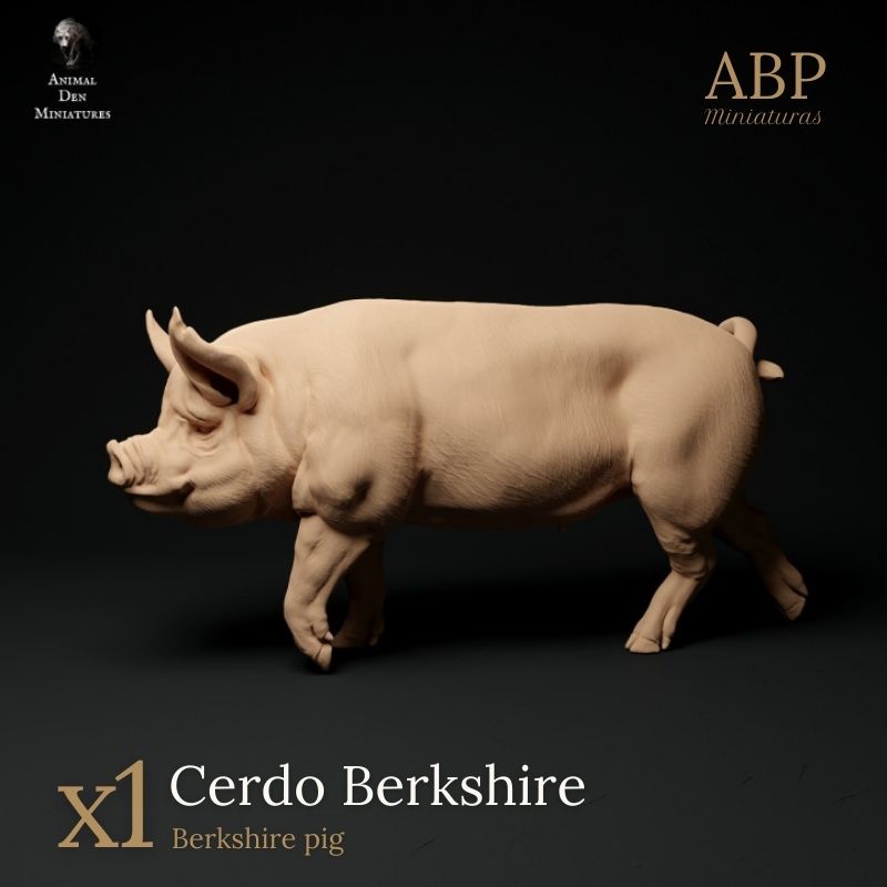 Cerdo Berkshire