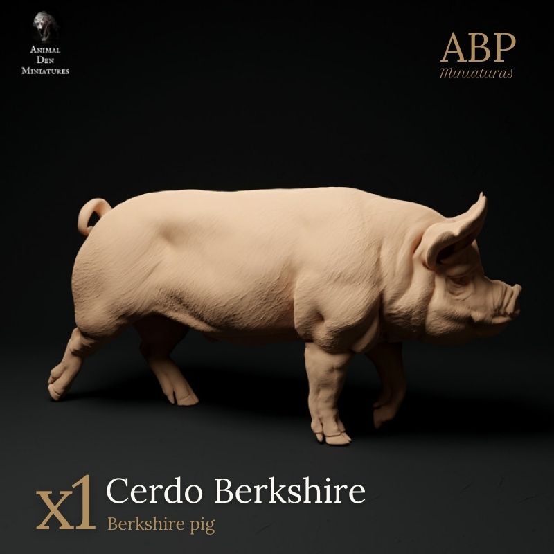 Cerdo Berkshire
