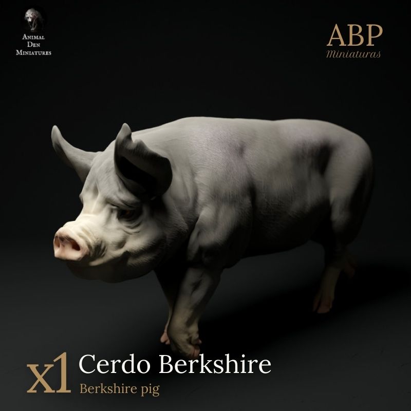Cerdo Berkshire