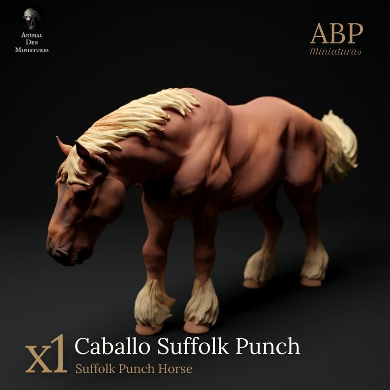 Caballo Suffolk Punch en Reposo