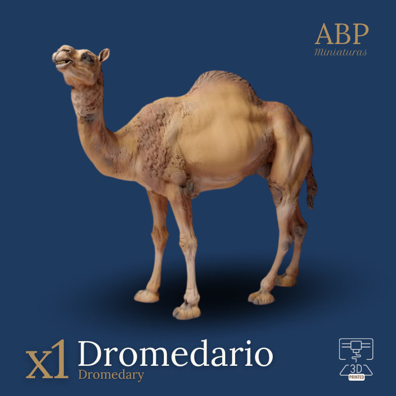 Dromedario