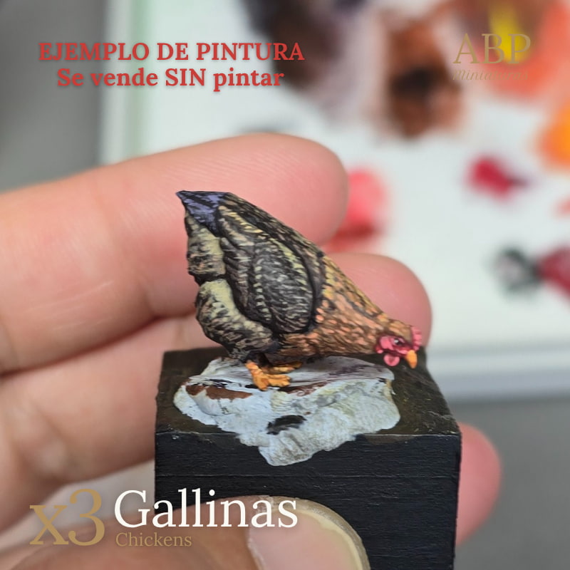 Set de 3 gallinas