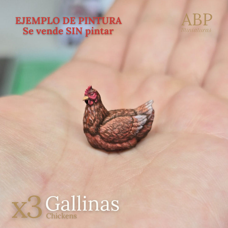 Set de 3 gallinas