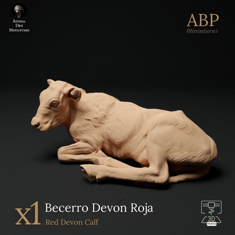 Becerro Devon Roja