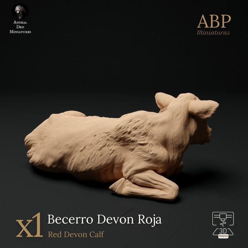 Becerro Devon Roja