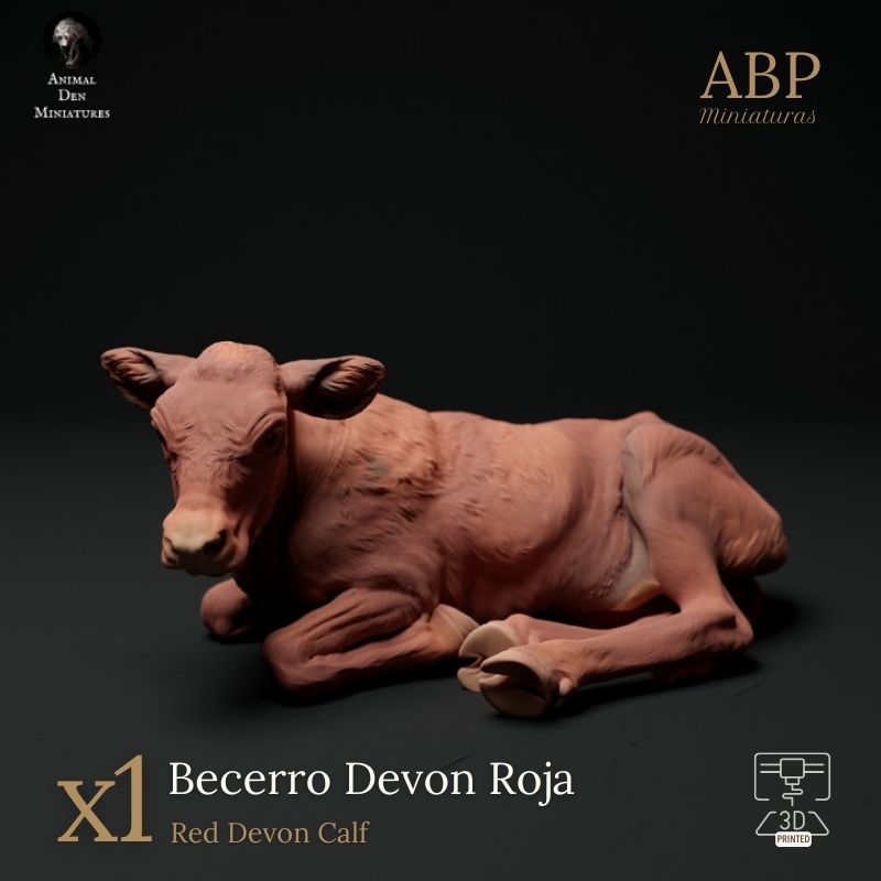 Becerro Devon Roja