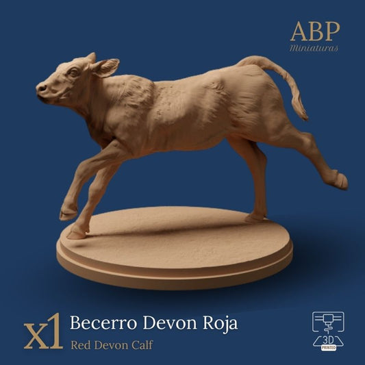 Becerro Devon Roja Corriendo
