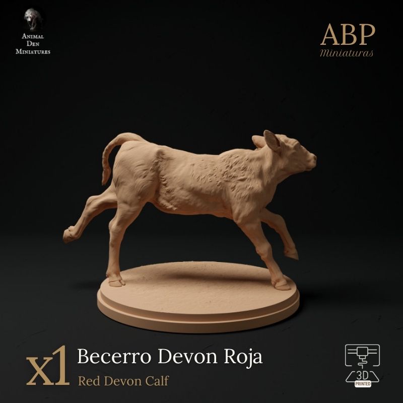 Becerro Devon Roja Corriendo