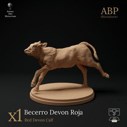 Becerro Devon Roja Corriendo