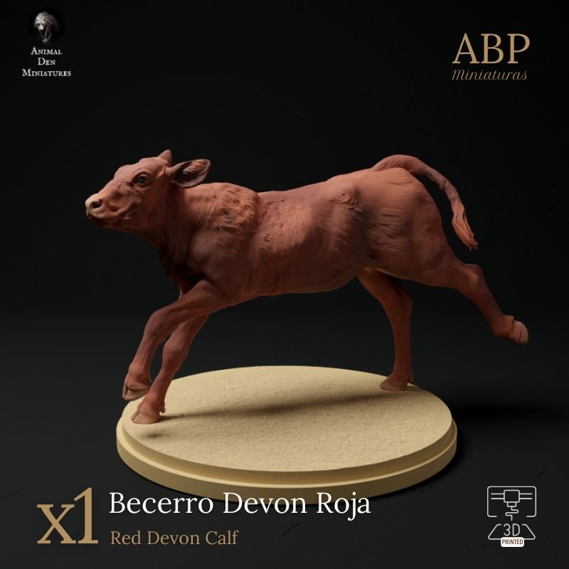 Becerro Devon Roja Corriendo