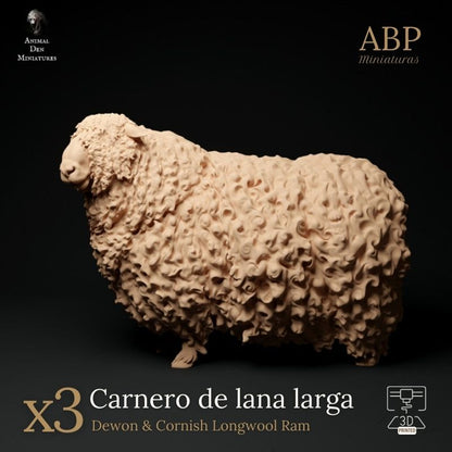 Set de 3 Carnero de lana larga