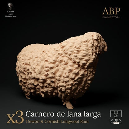 Set de 3 Carnero de lana larga