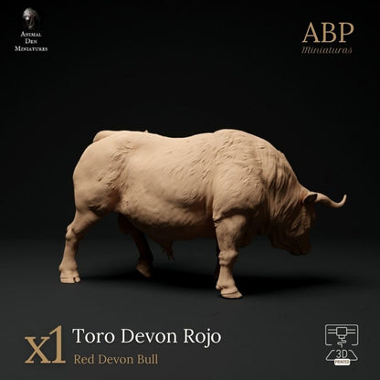 Toro Devon Rojo
