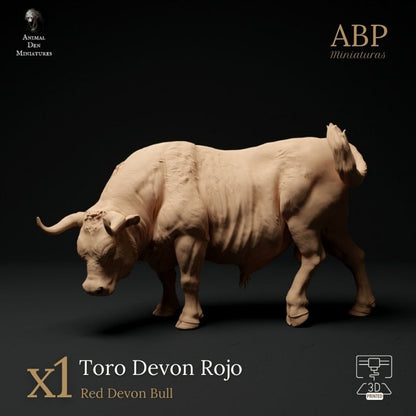 Toro Devon Rojo