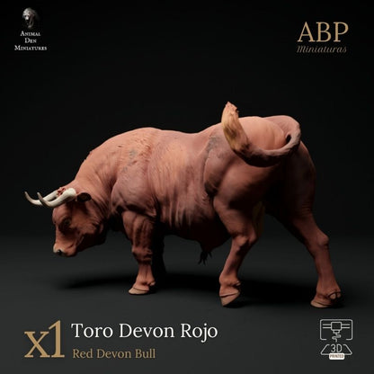 Toro Devon Rojo