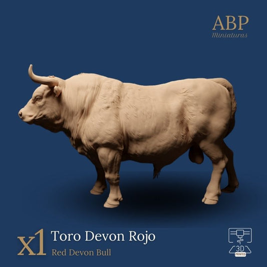 Toro Devon Rojo Erguido