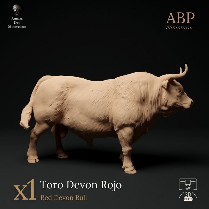 Toro Devon Rojo Erguido