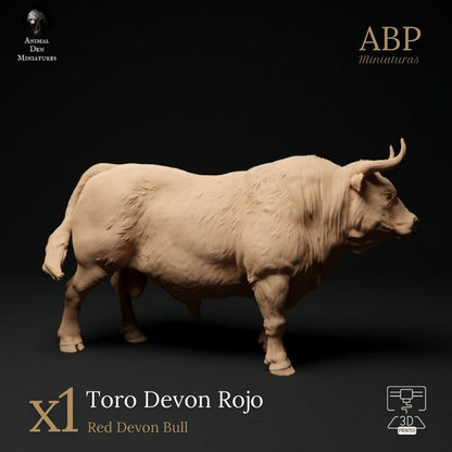 Toro Devon Rojo Erguido