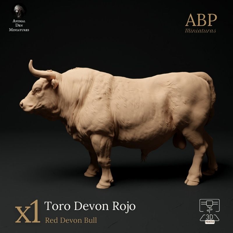 Toro Devon Rojo Erguido