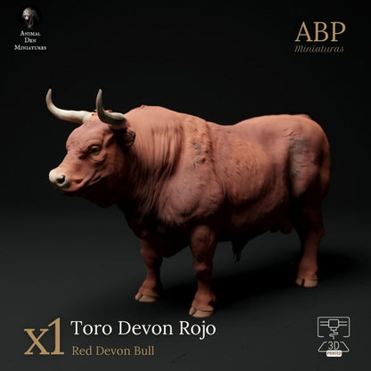Toro Devon Rojo Erguido