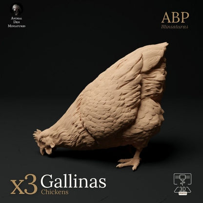 Set de 3 gallinas