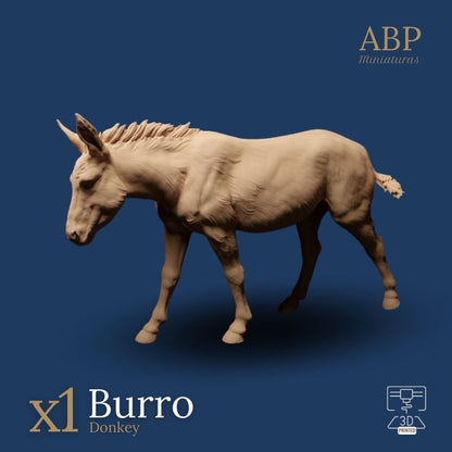 Burro