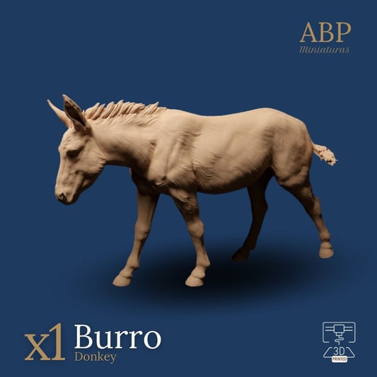 Burro