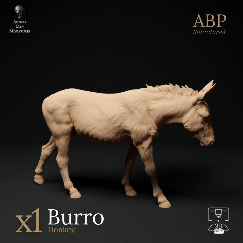 Burro