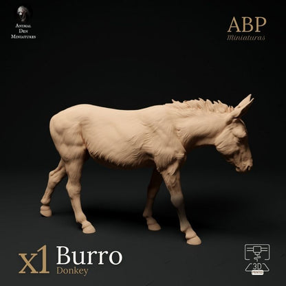 Burro