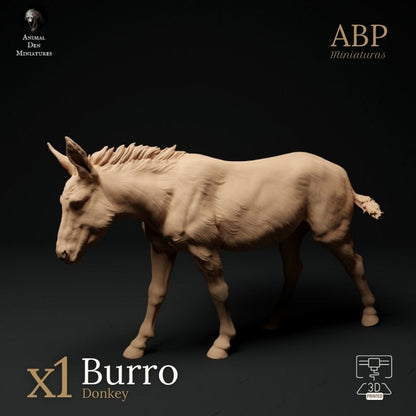 Burro