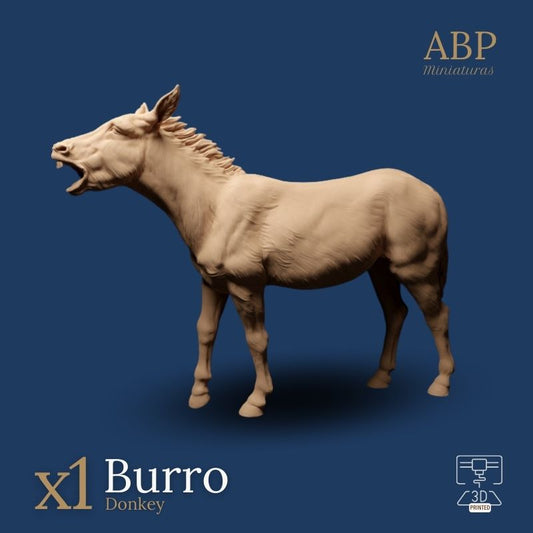 Burro Rebuznando