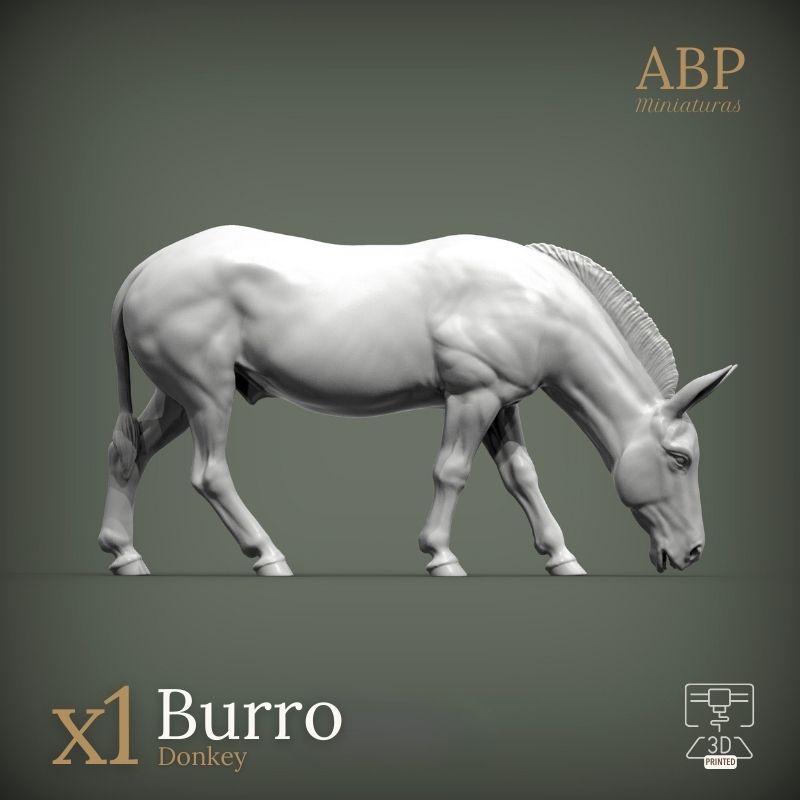 Burro comiendo